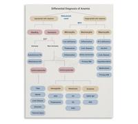Education Poster Anemia Causes Symptoms Diagnosis Overview