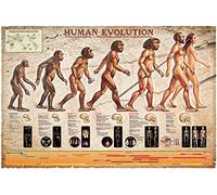 Educational - Bildung Human Evolution - Bildungsposter Plakat Druck - Maxiposter Version in Englisch - Größe 91,5x61 cm + 2 St Posterleisten Kunststoff 93 cm Schwarz