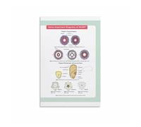 Educational Biology Poster Animal Plant Anatomy Study Guide Canvas Print for Bedroom or Office(Framed,12X18inch(30X45cm))