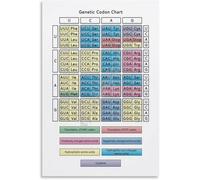Educational Biology Poster - Complete Amino Acids Chart with Genetic Code for Science Wall Decor(Unframed,08x12inch(20x30cm))