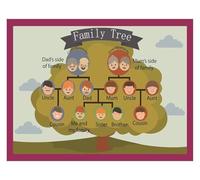 Educational Family Tree Poster - Learn Family Relationships, Kids Wall Art for Bedroom, Classroom & Playroom | Perfect for Preschool, Kindergarten, and Home Learning(Unframed,16x24inch(40x60cm))