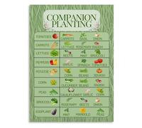 Educational Garden Poster, Companion Planting Chart for Vegetable Pairings, Canvas Wall Art for Classroom, Teacher's Lounge, Home Office(Unframed,12x18inch(30x45cm))
