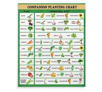 Educational Garden Poster, Companion Planting Chart for Vegetable Pairings, Canvas Wall Art for Classroom, Teacher's Lounge, Home Office(Unframed,08x12inch(20x30cm))