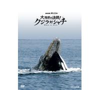 (Educational Interests) - Nhk Special Oounabara No Kettou! Kujira Tai Shachi [Edizione: Giappone]