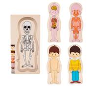 Educational Learning: As kids piece together this human body puzzle, they e | Educational Learning: As kids piece together this human body puzzle, they explore the intricate biology, learning each organ'