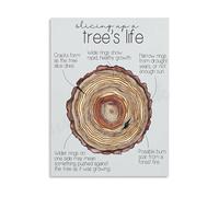 Educational Trees Life Poster Nature Growth Cycle Stages Canvas Wall-Art For Living Room Bedroom Room Decor(Framed,08x12inch(20x30cm))