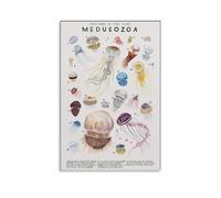 Educational Vintage Style Canvas Print Jellyfish Marine Life Chart Ocean Science Wall Art for Home Study Decor(Unframed,12x18inch(30x45cm))