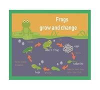 Educational Wall Chart Frogs Life Cycle Mind Mapping Poster For Toddlers English Aid And Classroom Decor Kids(Framed,12x18inch(30x45cm))