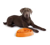 Edupet Anti-Gorge Feeding Bowl/Slow Feeder, Medium/Large, 28.5 cm