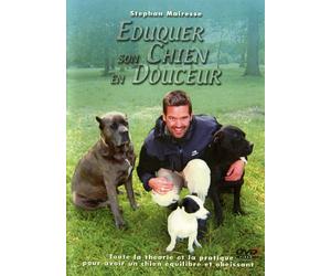 Eduquer son chien en douceur