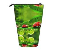 EdWal Divertente astuccio telescopico con coccinella che tiene ombrelli con stampa stand up astuccio carino astuccio cancelleria portapenne astuccio cosmetico, Nero , Taglia unica, Organizer per borse
