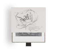 Edward Gorey: The Fraught Settee Slipcase Boxed Notecards (Poster)