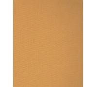 Edward O. Wilson The Insect Societies (Copertina rigida)