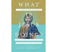 Edwin Chr. Van What Is Jesus Doing? - God`s Activity in the Life an (Tascabile)