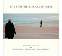 Edwyn Collins, Carwyn Ellis & Sebastian Lewsley - The Possibilities are Endless