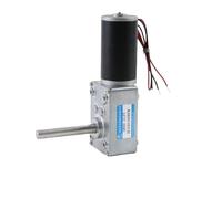 EDXFICDQ 12V 21W 24V 25W DC Motoriduttore a Vite Senza fine Albero esteso 51MM Coppia Grande 5840-31ZY velocità Regolabile CW CCW Piccolo Motore(258rpm,24Vmotor And Bracket)