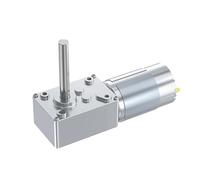 EDXFICDQ 5840-555 Motore 12V 24V DC Motoriduttore a Vite Senza fine Autobloccante Motore Alto 2,2-70 kg for Attrezzature domestiche for cartelloni pubblicitari for Tende(290rpm,12V)