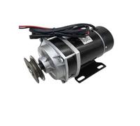 EDXFICDQ Motore Spazzolato con ingranaggio CC 600w 24V / 36V / 48V, motoriduttore con puleggia a Cinghia, Motore Triciclo Elettrico con Motore a spazzole, MY1120ZXF(36V)