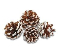 Edzard Deco Strobili, Bianche, Dimensioni 50-90 mm, Sacchetto da 600 ml, Pigne Coni