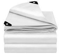 EEATUZTL Bianco Telo Impermeabile Esterno, Telone Occhiellato Impermeabile in Polietilene, Telone Impermeabile per Esterno, Giardino, Gazebo, Campeggio, Piscina, Auto, Barche, Legno, 6x12m