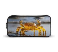 Eekstdbn Astuccio trasparente con granchio per cancelleria da ufficio, semplice e robusto, con chiusura a cerniera, borsa multiuso da viaggio per ufficio