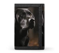 Eekstdbn Portafoglio a tre ante con labrador nero, porta carte e denaro Oganizer sottile elegante mini portamonete con cerniera tasca portamonete per uomini e donne