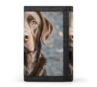 Eekstdbn Portafoglio a tre ante con labrador retriever marrone, porta carte e denaro Oganizer sottile elegante mini portamonete con cerniera tasca portamonete per uomini e donne