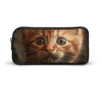 Eekstdbn Un gatto arancione matita caso ufficio cancelleria organizzatore semplice robusta chiusura a cerniera astuccio portatile ufficio viaggio borsa multiuso