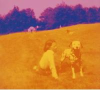 EELS - BLINKING LIGHTS AND...+ 1