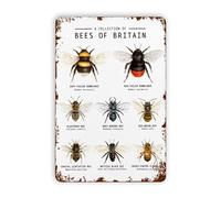 Eeypy Bees of Educational Classroom Wall Art Homeschool Learning Through Nature Honeybee Bumblebee Art Vintage Retro Metal Sign Metal Hanging Tin Signs 20 x 30,5 cm