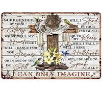 Eeypy Targa in metallo con colibrì, idea regalo per donne, con scritta in inglese "The Cross Hummingbird I Can Only Imagine", decorazione da parete, in alluminio, retrò, per giardino, casa, cortile