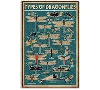 Eeypy Targa in metallo con scritta in inglese "Types of Dragonflies Knowledge", decorazione da parete retrò, poster in metallo per casa, bar, caffetteria, garage, cartello in metallo personalizzato