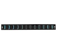 Oem Pannello Frontale per Cassetto Ottico 1U 12 SC Duplex/LC OM3 Nero