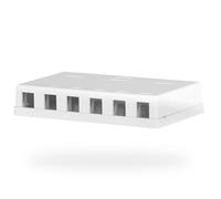 `EFB Keystone Anschlussbox, 6Port, Aufputz,` ACC NUOVO