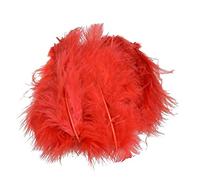 Efco Marabù Piuma, Rosso, 100 - 120 mm, 2 G, Pezzi