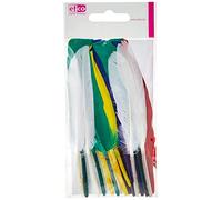 Efco, Piume Indiane Multicolore, da 12 a 15 cm, 20 Pezzi