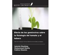 Efecto de los geminvirus sobre la fisiología del tomate y el tabaco: Infección mixta por el virus Gemini en el tomate y el tabaco