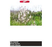 Efeito anti-hiperlipidémico da planta inteira Asphodelus fistulosus linn.