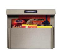 EffeDecor Cassetta Porta Pubblicità in Acciaio Inox e Acciaio Zincato con Tetto Parapioggia Grigio Condominiale Ideale per Esterno Posta Casa Offerta 34x8x28 cm