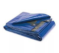 EffeDecor - Telone Occhiellato Impermeabile in Polietilene Pesante 280gr/mq con Occhielli Rinforzati in Alluminio Resistente ai Raggi UV,Agli Strappi, per Esterno Copertura Multiuso (3x4 Metri)