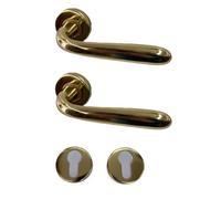 effedielle® Maniglia per Porta Completa Interno ed Esterno, con Molla di Ritorno, Disponibile in Diversi Modelli e Colori, viti di fissaggio comprese (Ottone lucido, Tonda foro cilindro)