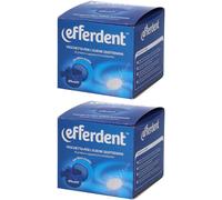 Efferdent Vaschetta Portaprotesi 2x1 St