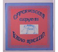 EFFERVESCENT ELEPHANTS - radio muezzin/all tomorrow's parties/interstellar overdrive