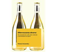 Effervescenze diverse. Vini ancestrali, birre acide, sidro e idromele: le fermentazioni da scoprire