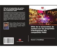 Effet de la texturation de surface sur les propriétés tribologiques des composites PA66