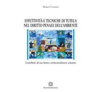 Effettività e tecniche di tutela nel diritto penale dell'ambiente