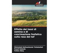 Effetto dei tassi di semina e di concimazione fosfatica sulla resa del tef