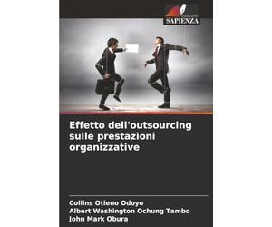 Effetto dell'outsourcing sulle prestazioni organizzative