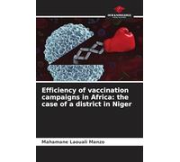 Efficiency of vaccination campaigns in Africa: the case of a district in Niger