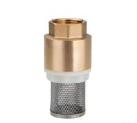 Efficiente controllo dell'acqua con valvola di ritegno in ottone, valvole di aspirazione da 12" e 34" con filtrazione in acciaio inossidabile per piscine (3/4")